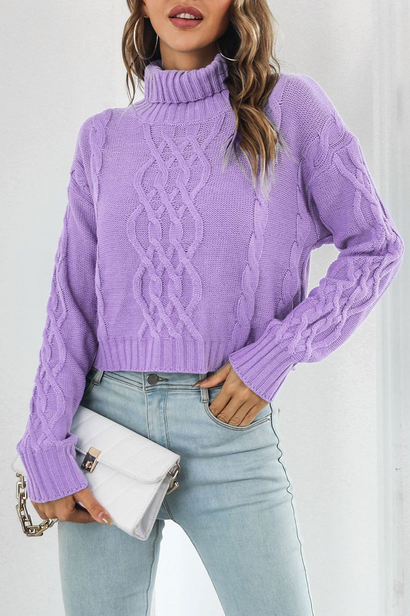 Cable Knit Cropped Turtleneck Sweater