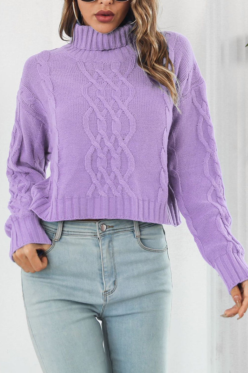 Cable Knit Cropped Turtleneck Sweater