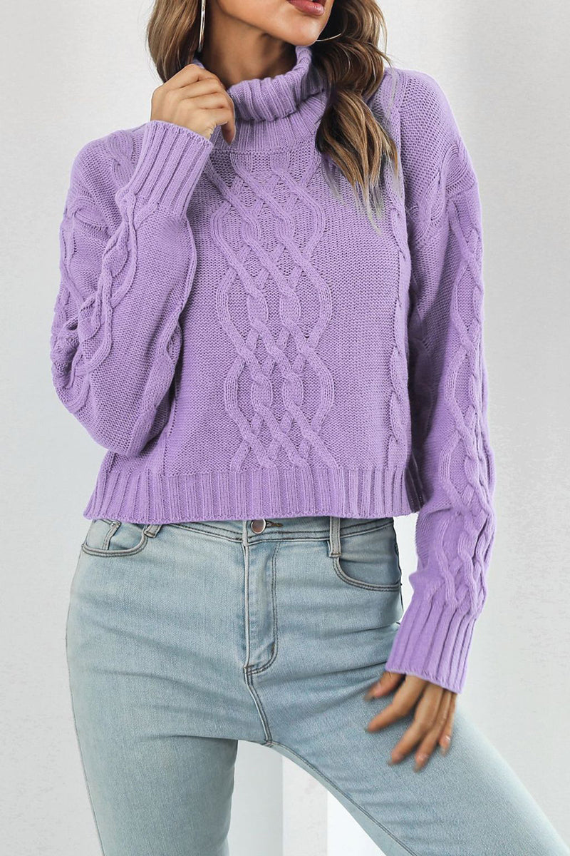 Cable Knit Cropped Turtleneck Sweater