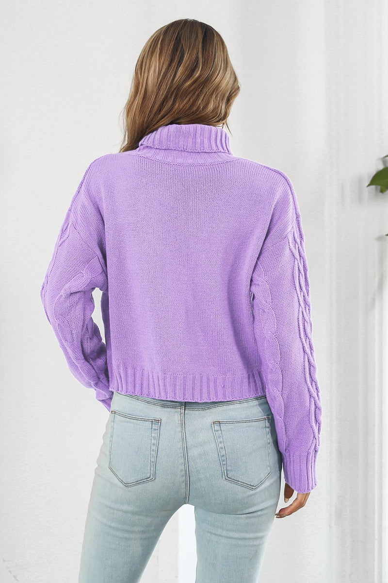 Cable Knit Cropped Turtleneck Sweater