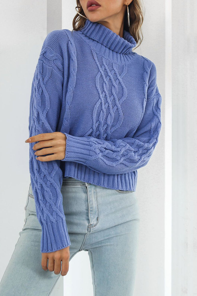 Cable Knit Cropped Turtleneck Sweater