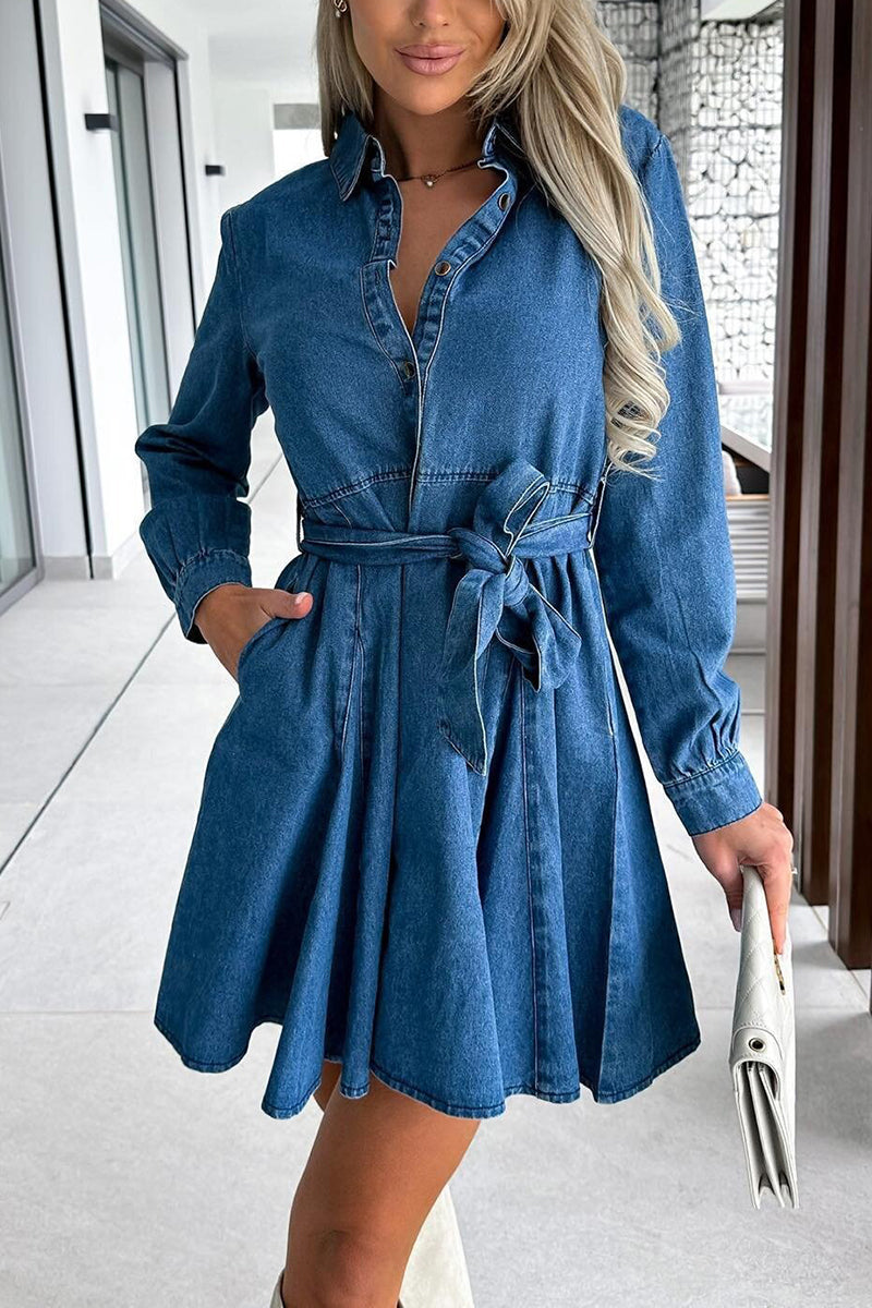 Button-Up Belted Shirt Dress