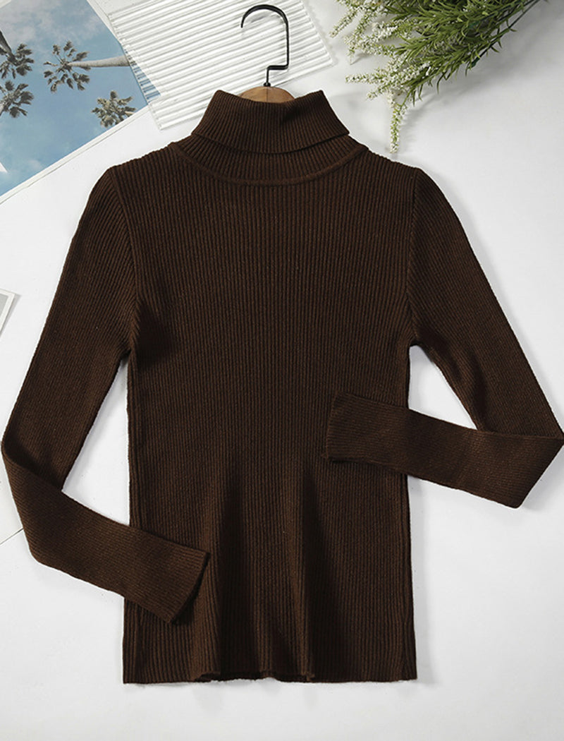 Solid Turtleneck Long Sleeve Knit Top