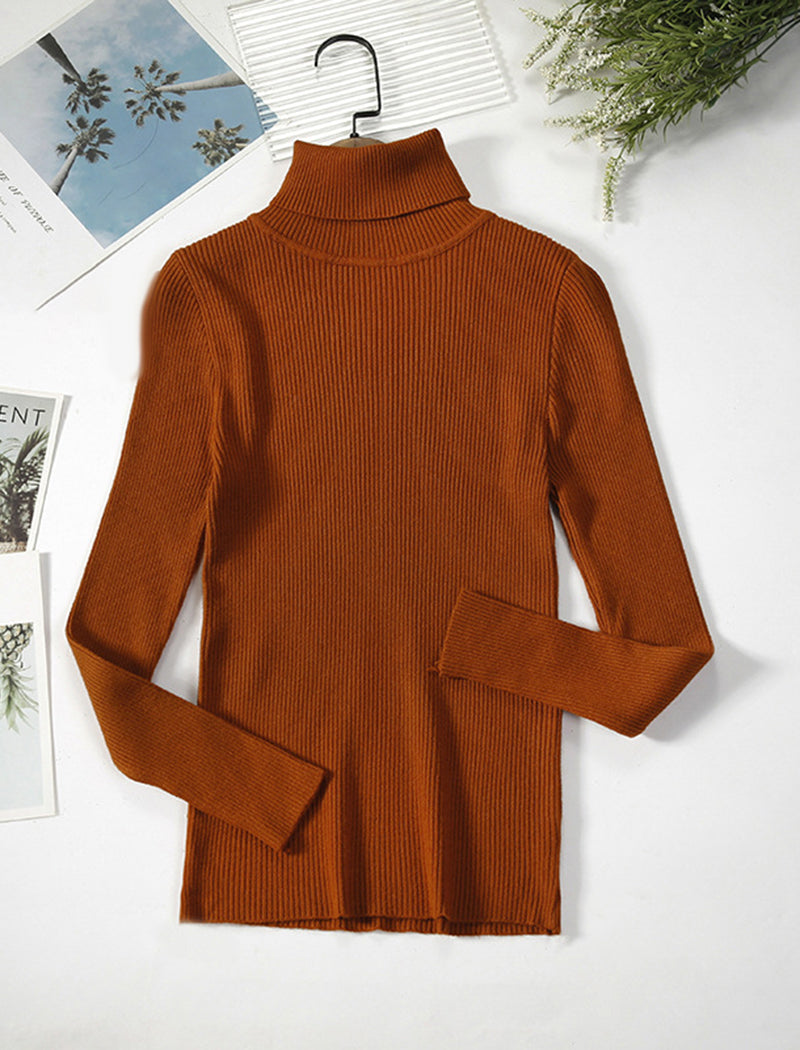 Solid Turtleneck Long Sleeve Knit Top