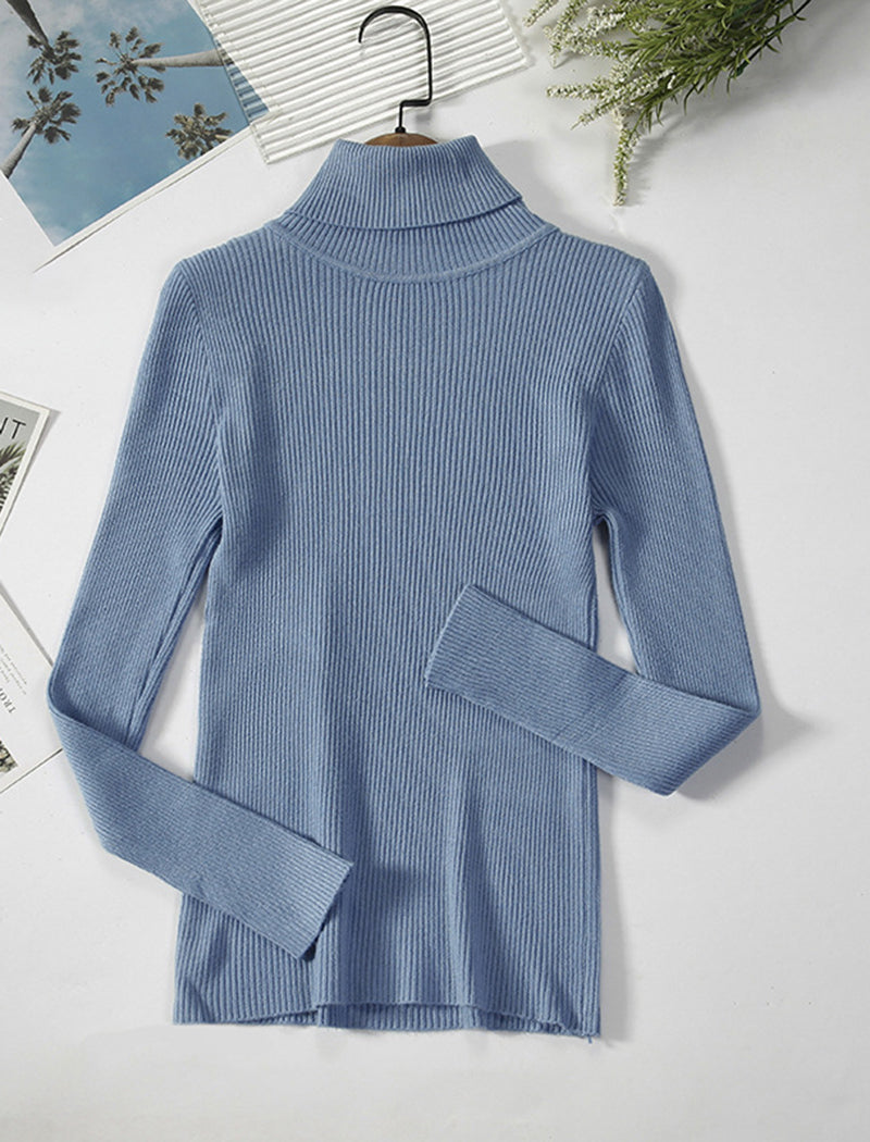 Solid Turtleneck Long Sleeve Knit Top