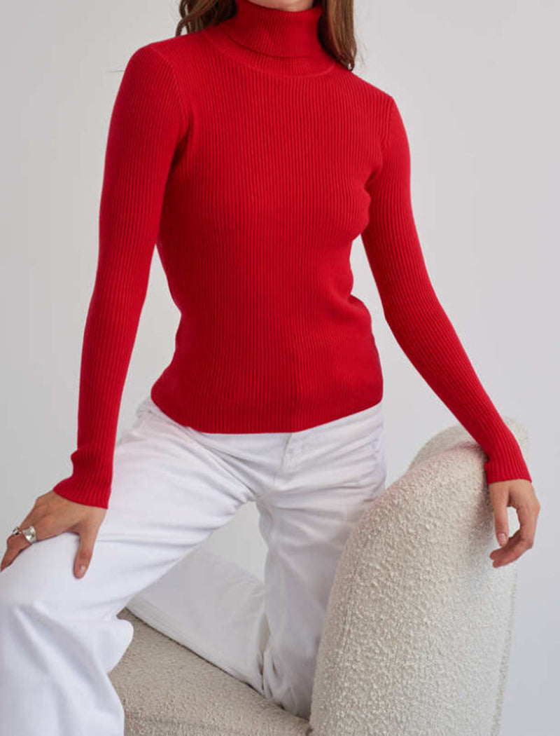 Solid Turtleneck Long Sleeve Knit Top