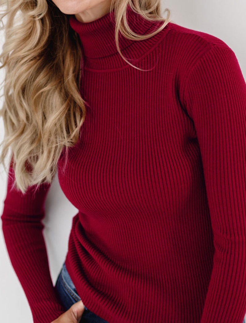 Solid Turtleneck Long Sleeve Knit Top