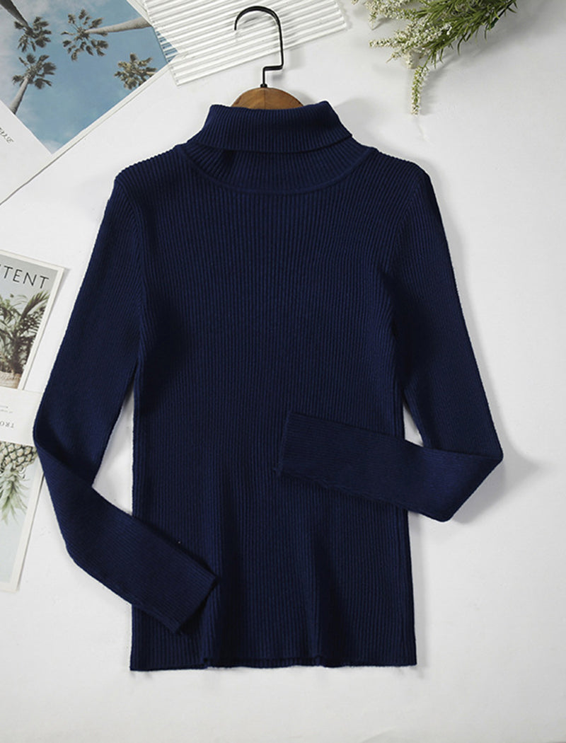 Solid Turtleneck Long Sleeve Knit Top