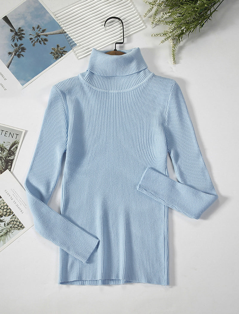 Solid Turtleneck Long Sleeve Knit Top