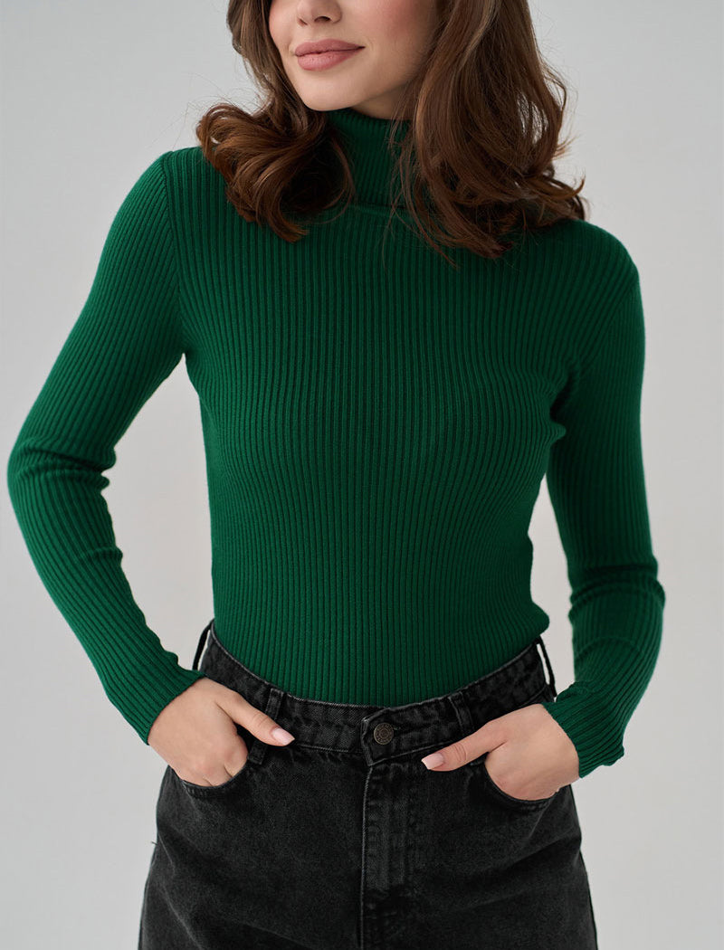 Solid Turtleneck Long Sleeve Knit Top