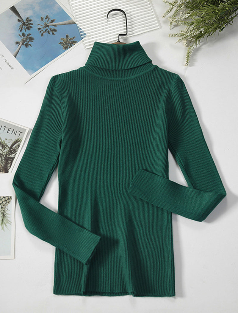 Solid Turtleneck Long Sleeve Knit Top