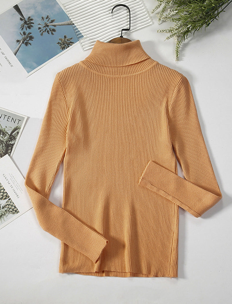 Solid Turtleneck Long Sleeve Knit Top