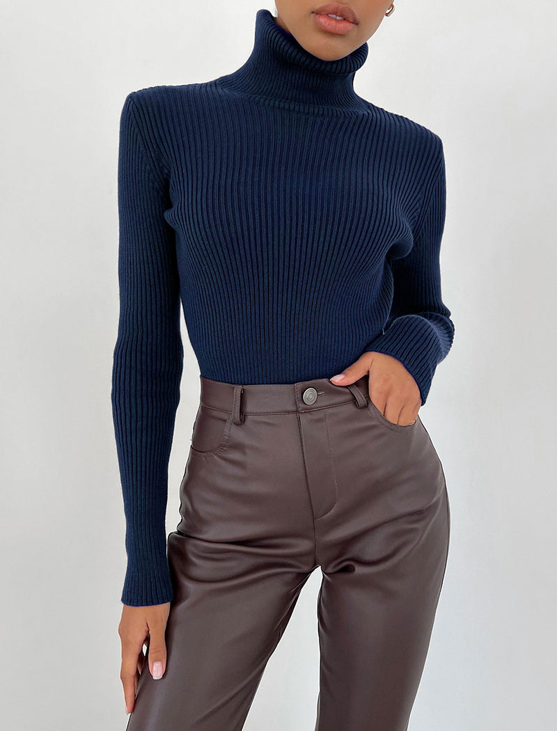 Solid Turtleneck Long Sleeve Knit Top