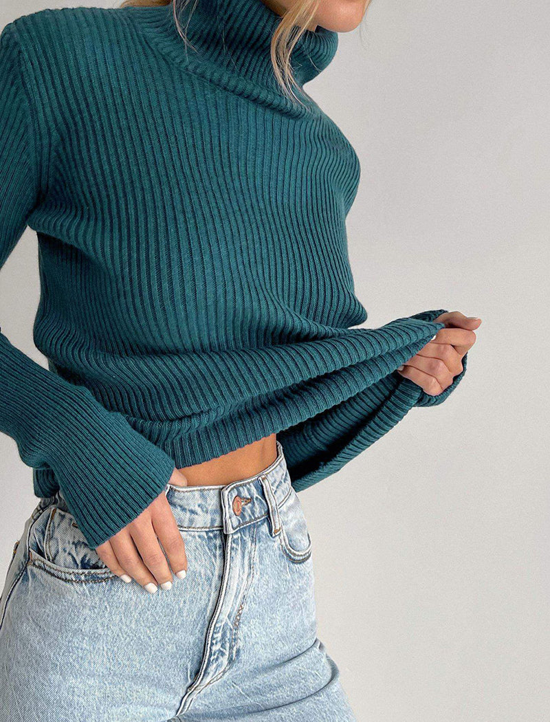 Solid Turtleneck Long Sleeve Knit Top