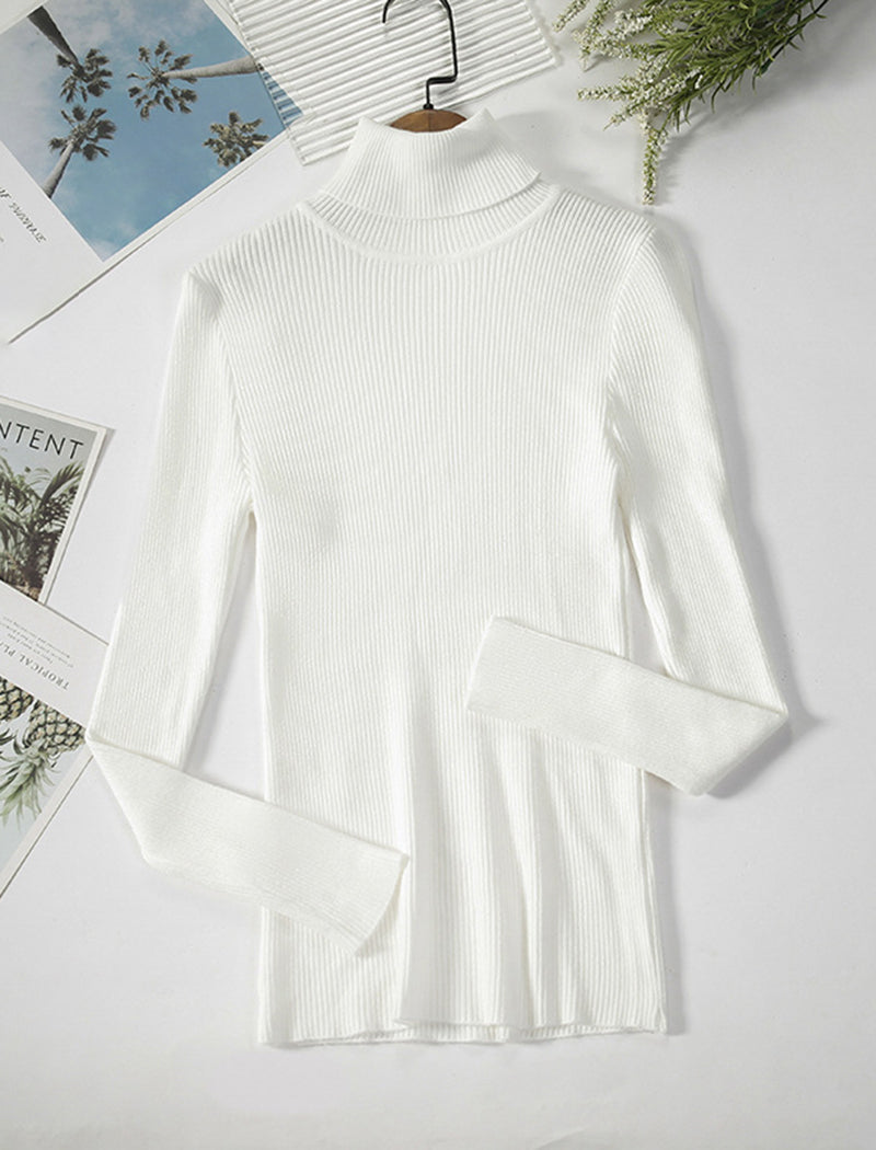 Solid Turtleneck Long Sleeve Knit Top