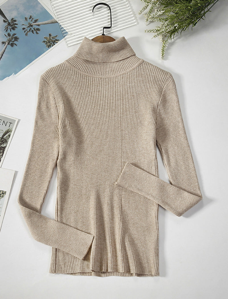 Solid Turtleneck Long Sleeve Knit Top