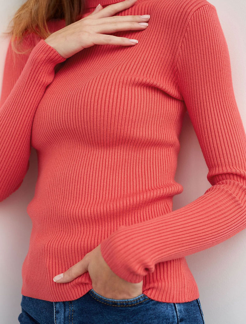 Solid Turtleneck Long Sleeve Knit Top