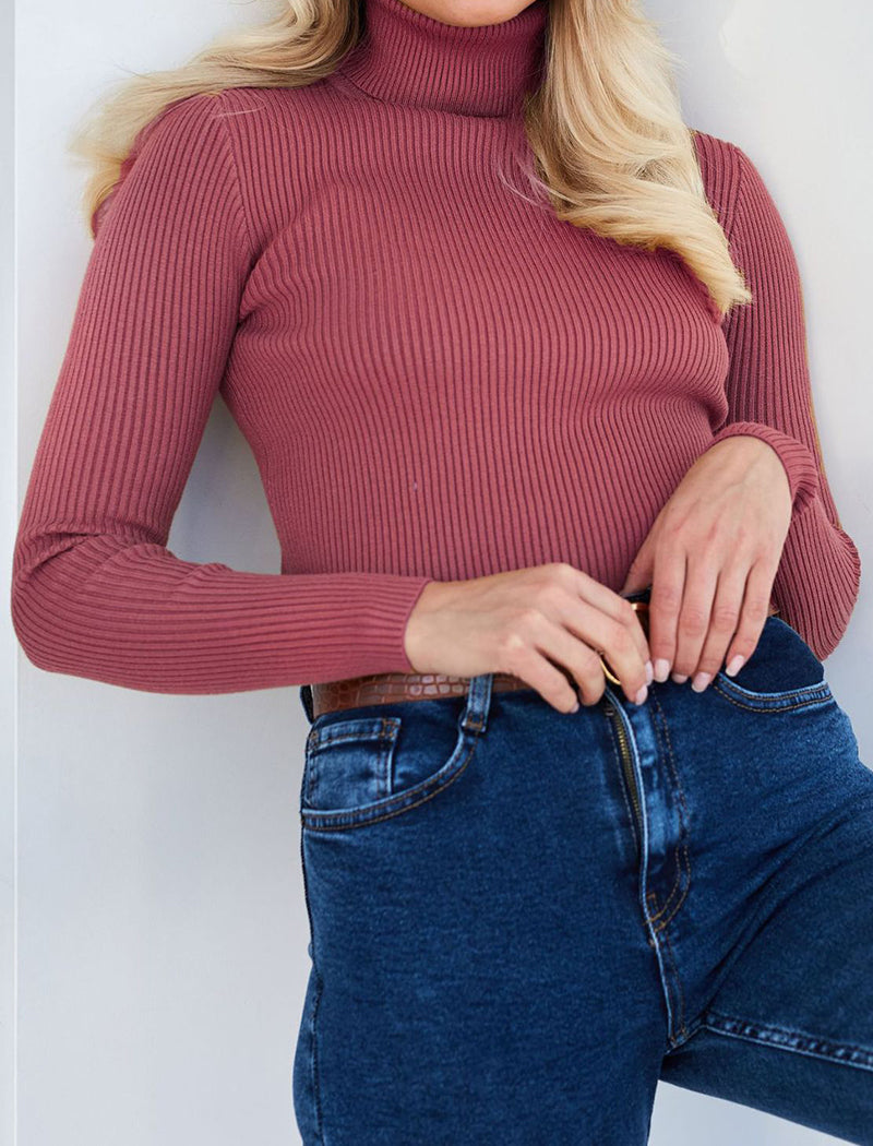 Solid Turtleneck Long Sleeve Knit Top