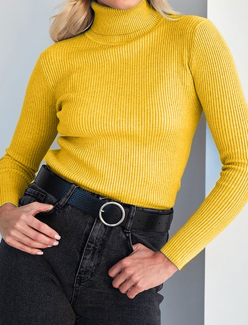 Solid Turtleneck Long Sleeve Knit Top