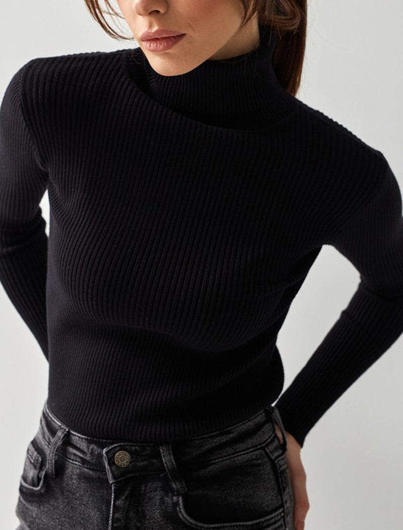 Solid Turtleneck Long Sleeve Knit Top