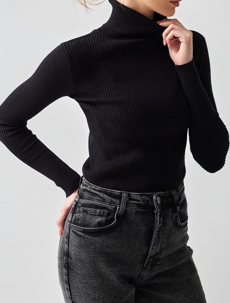 Solid Turtleneck Long Sleeve Knit Top