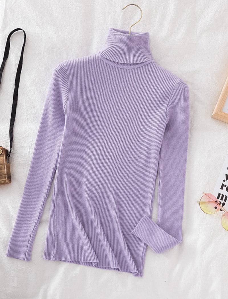 Solid Turtleneck Long Sleeve Knit Top