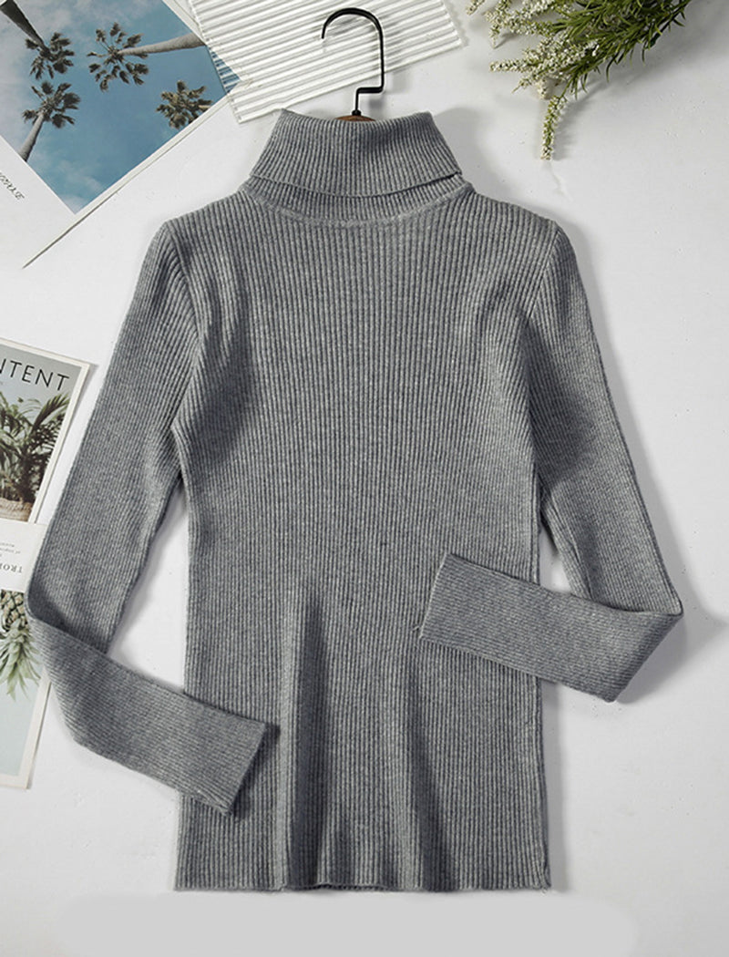 Solid Turtleneck Long Sleeve Knit Top