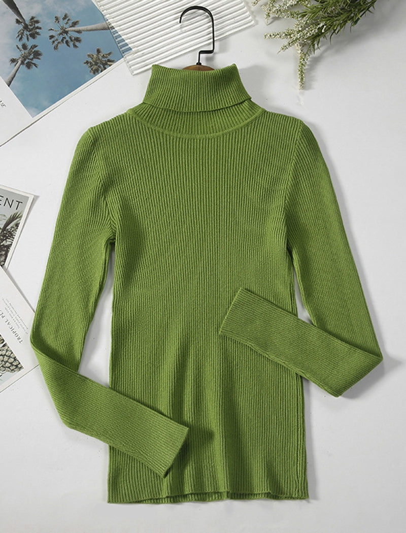 Solid Turtleneck Long Sleeve Knit Top