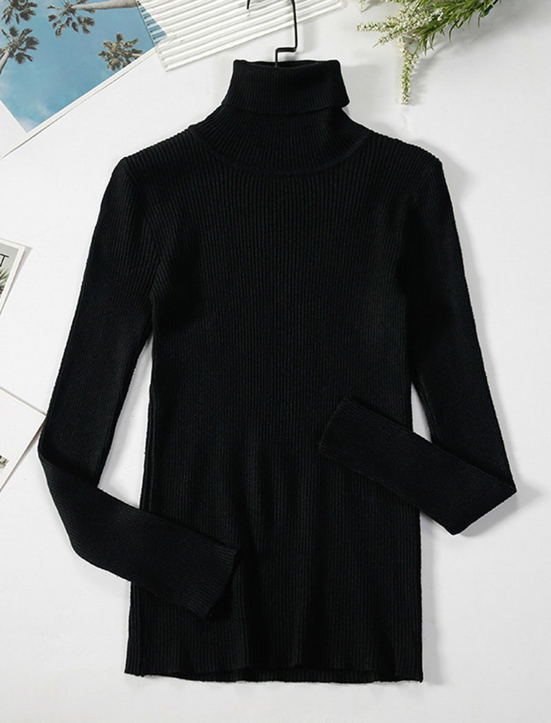 Solid Turtleneck Long Sleeve Knit Top