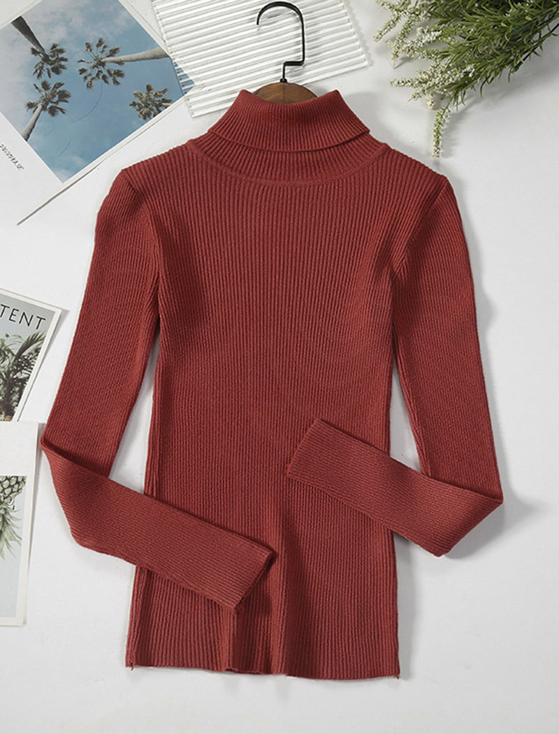 Solid Turtleneck Long Sleeve Knit Top