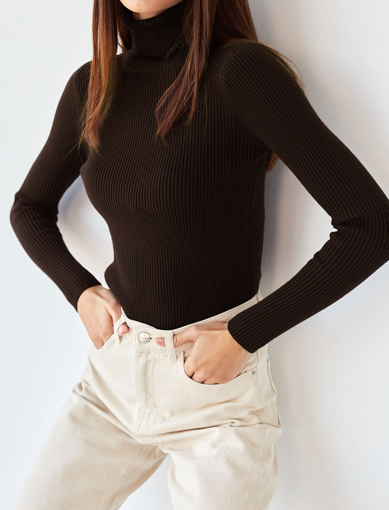 Solid Turtleneck Long Sleeve Knit Top