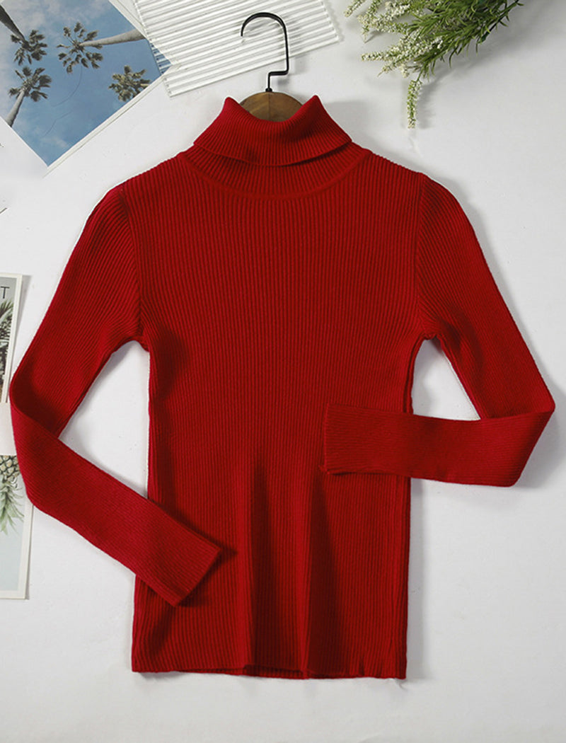 Solid Turtleneck Long Sleeve Knit Top