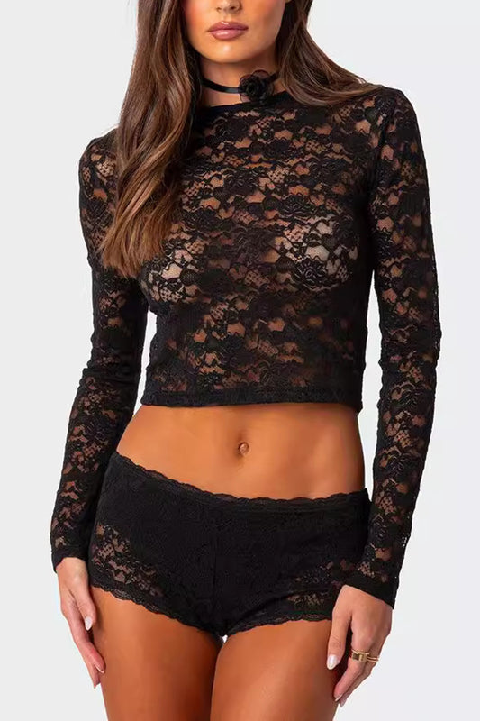 Crop Sheer Lace Top