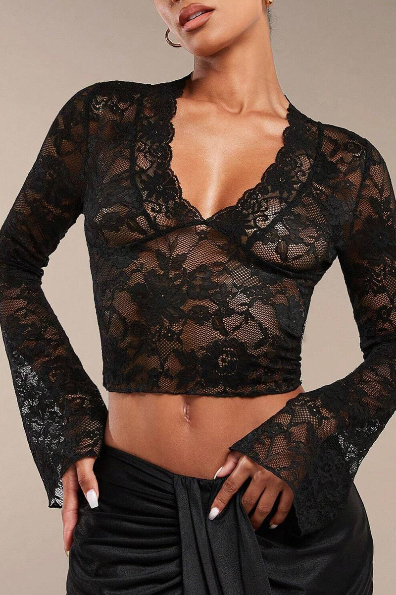 Sheer V-Neck Bell-Sleeve Lace Top