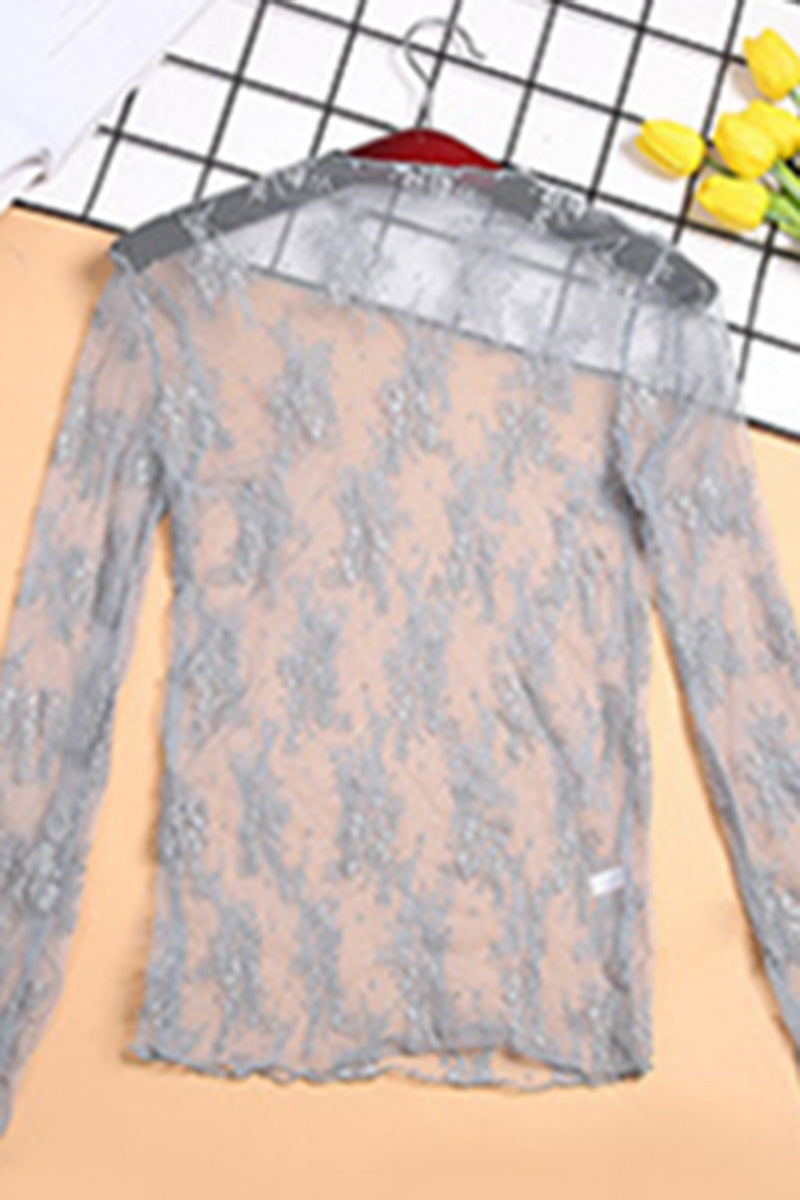 Sheer Mesh Long Sleeve Top