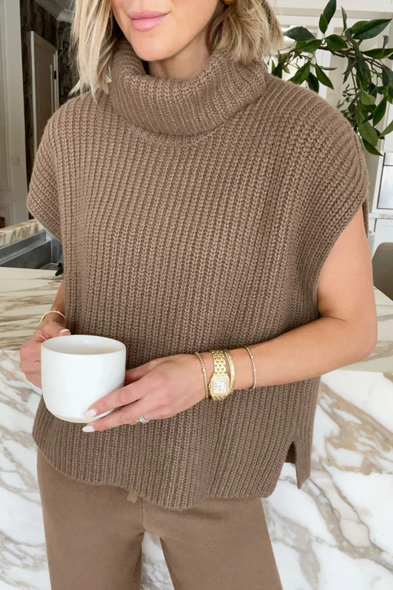 Turtleneck Knit Top