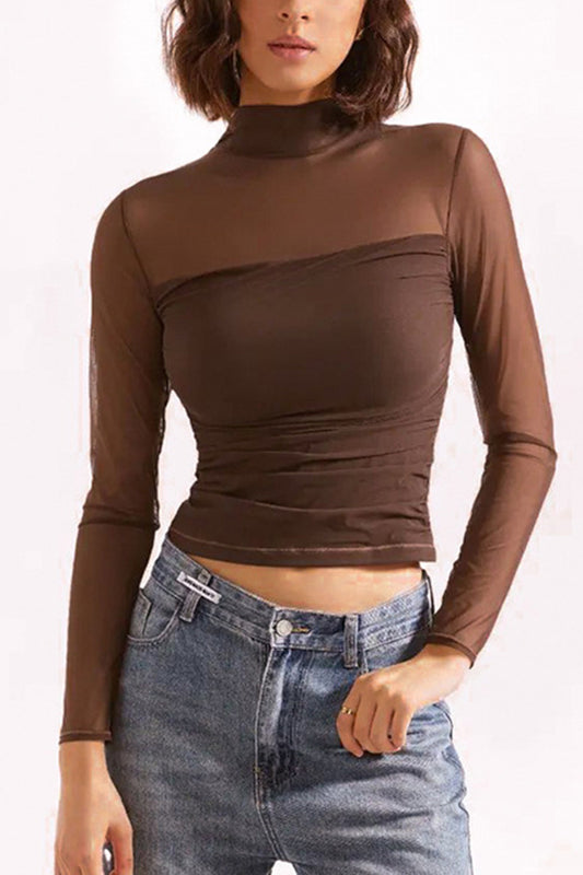 Mesh Long Sleeve Crop Top