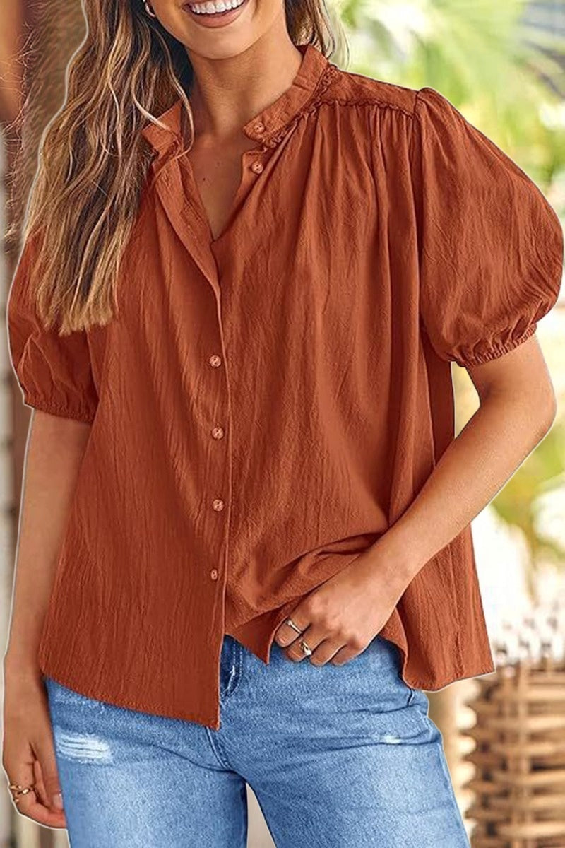 Balloon Sleeve V-Neck Blouse