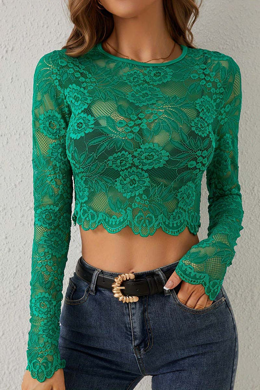 Lace Crop Knit Top