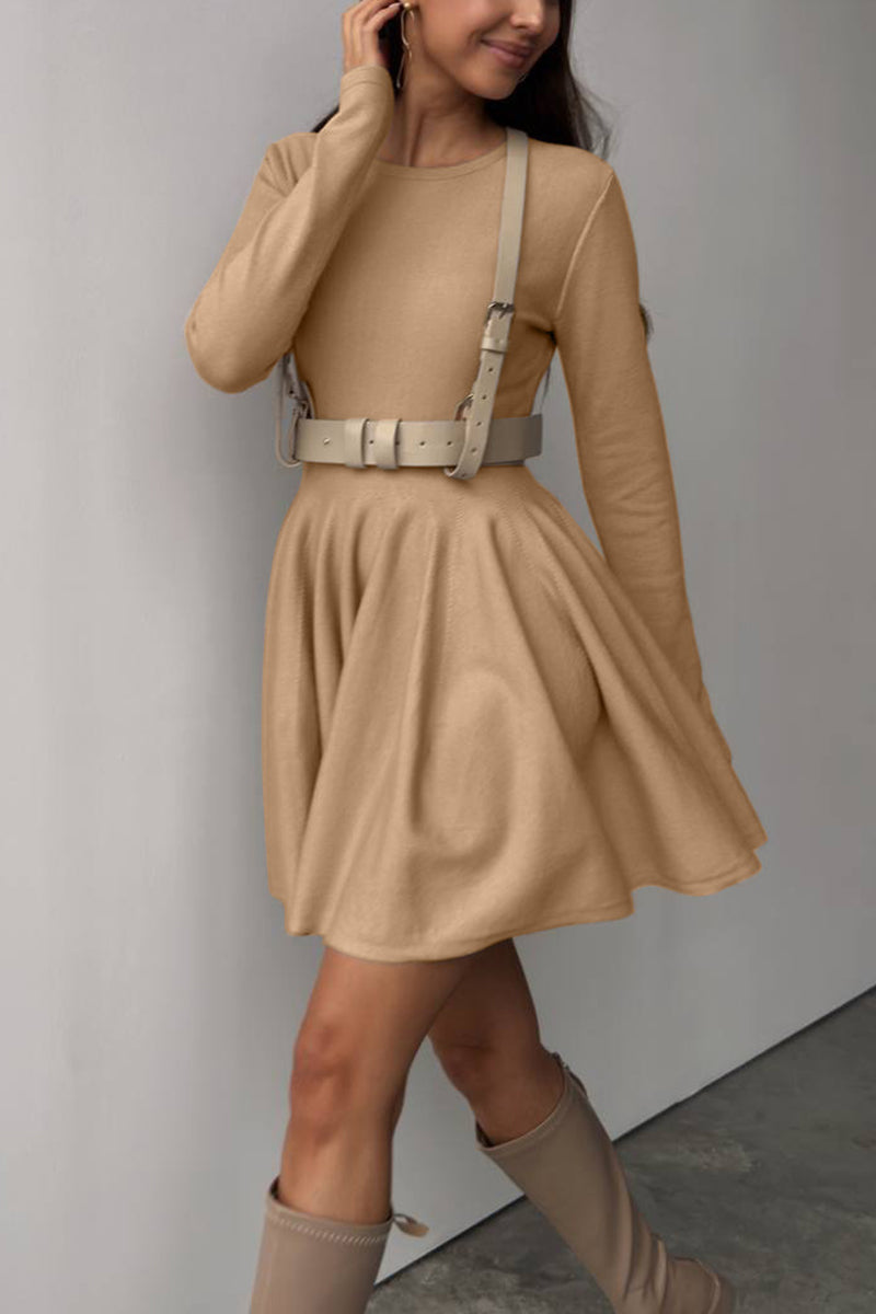 Long Sleeve Fit and Flare Mini Dress