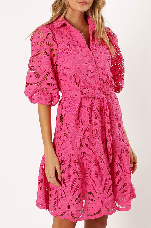 Eyelet Puff Sleeve A-Line Dress