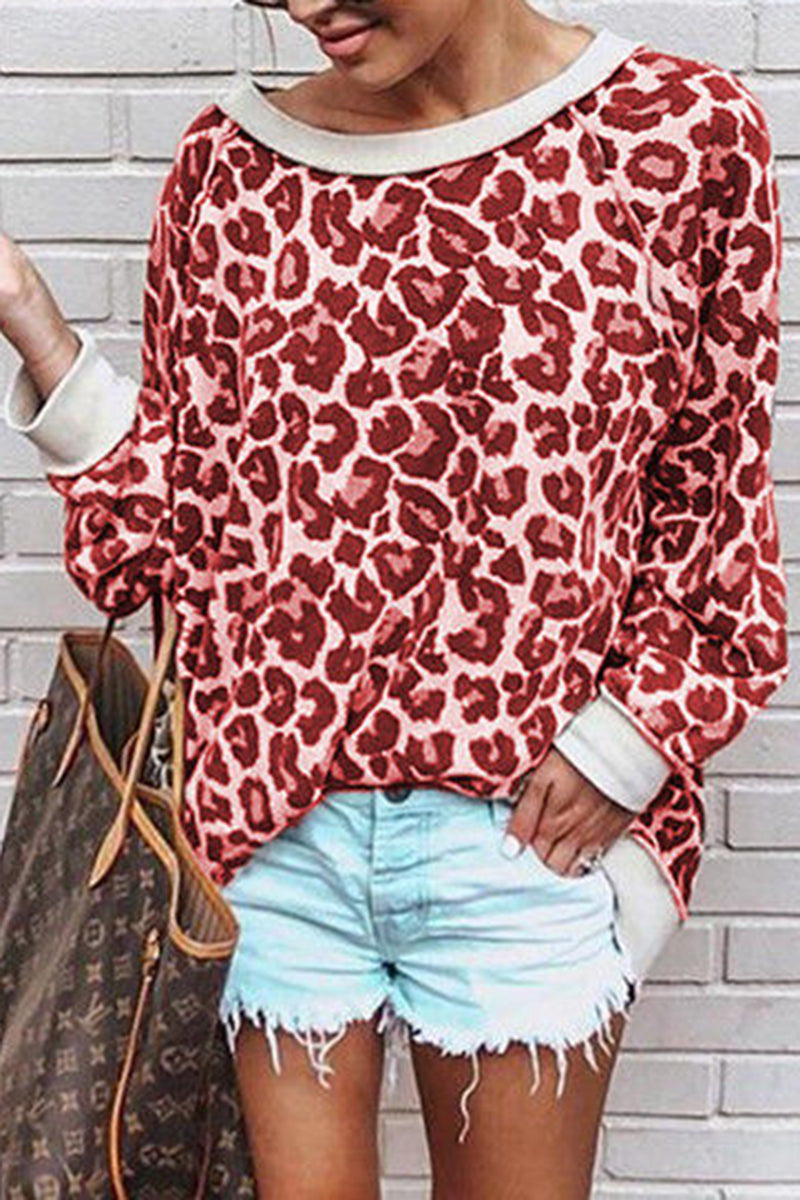 Leopard Print Long Sleeve Top