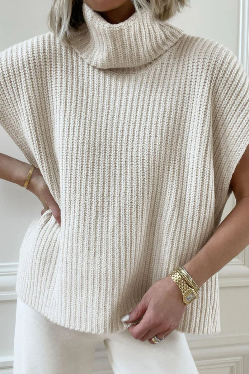 Turtleneck Knit Top