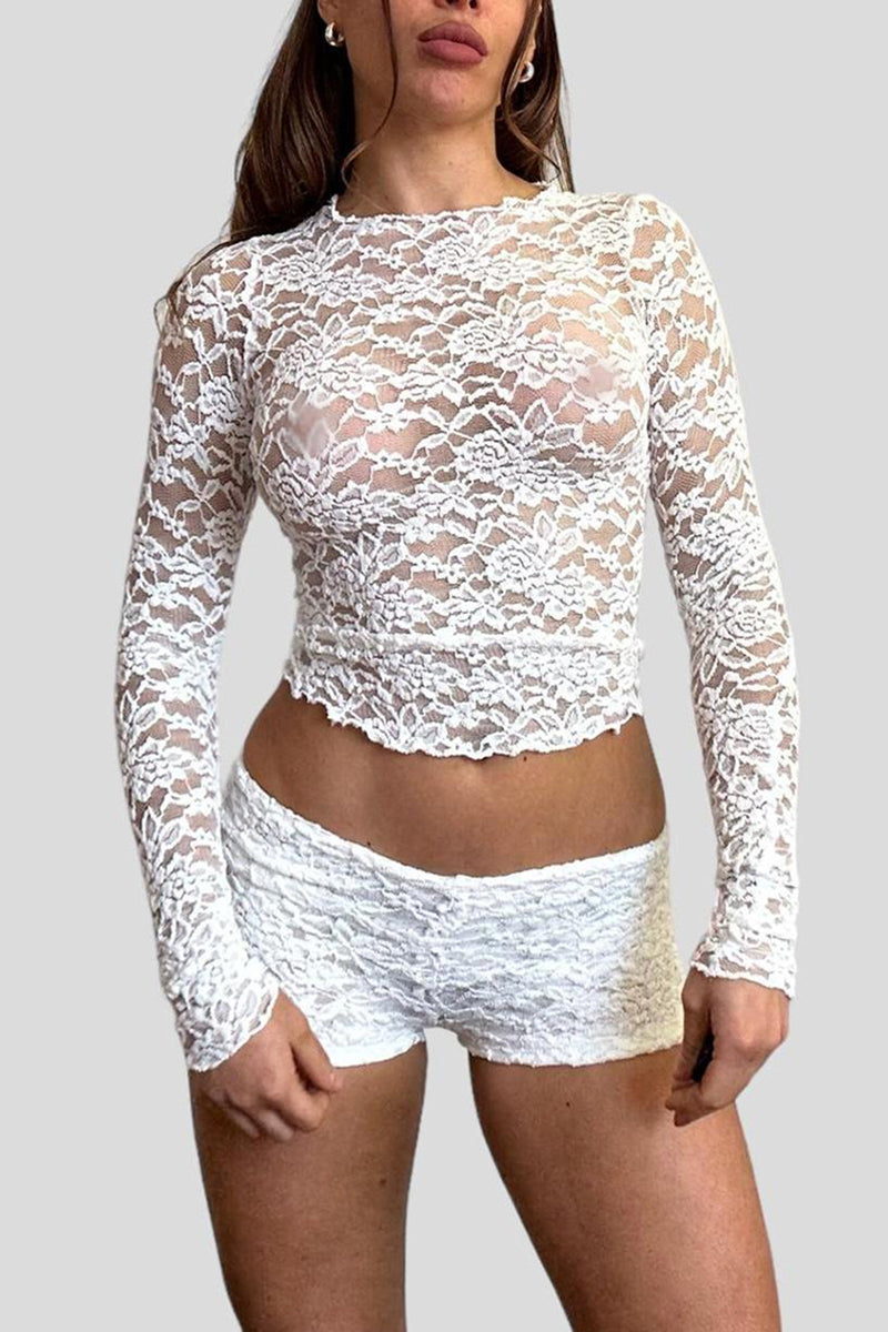 Sheer Long Sleeve Lace Crop Top