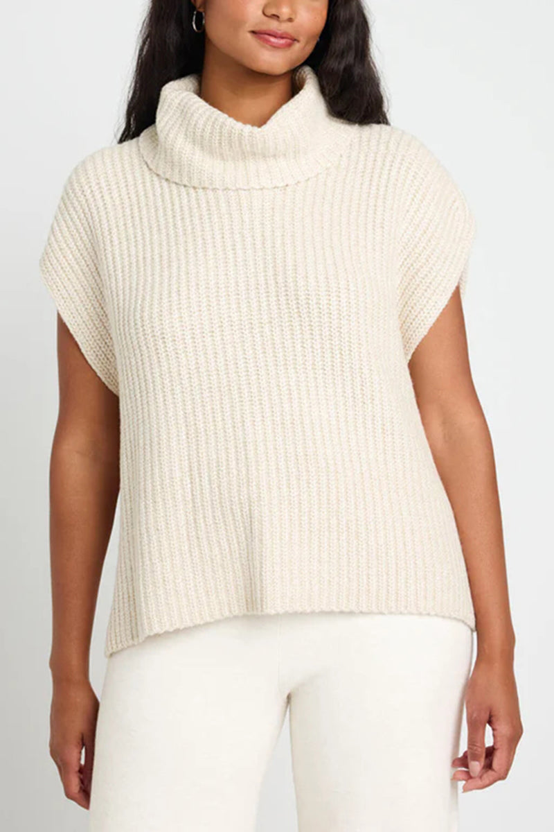 Turtleneck Knit Top