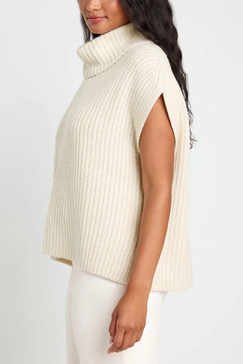 Turtleneck Knit Top